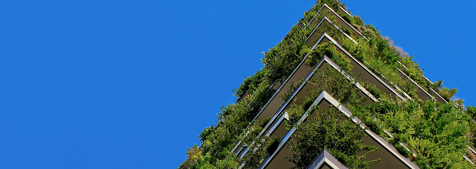 Financial Services: Powering The Net-Zero Economy