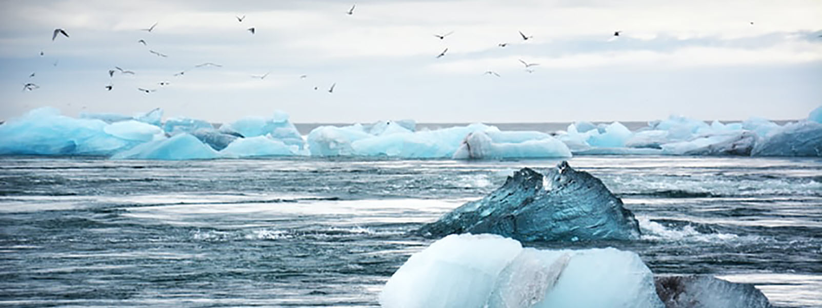 Climate Change: The Implications For Boards