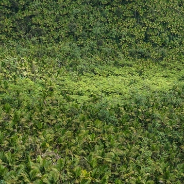 Success For IOCs In A Low-Carbon World