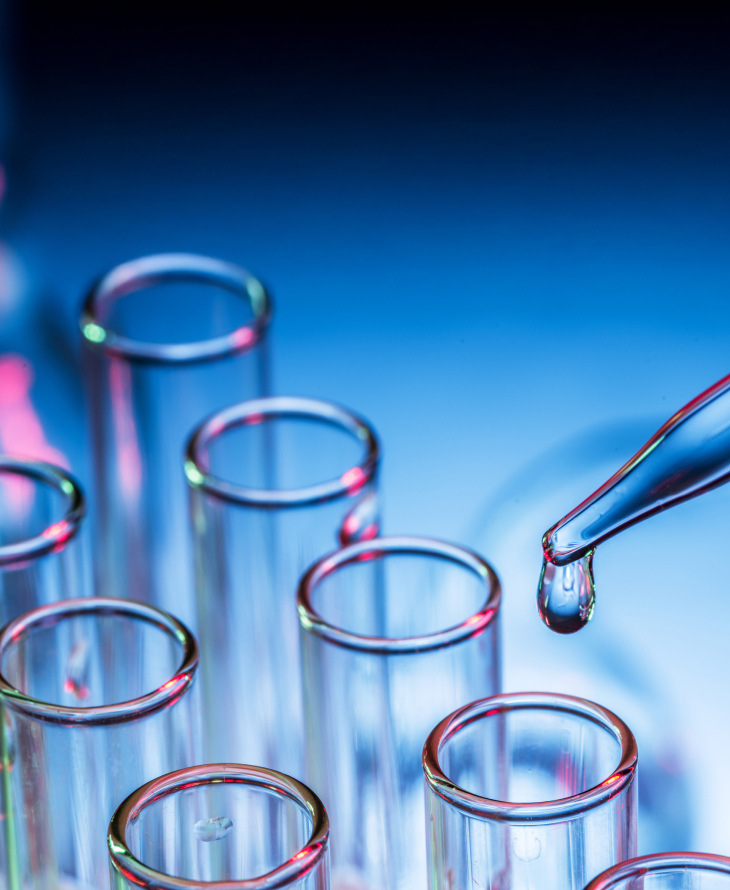 Photography of a Wooden gate with Greece's sea in the background.