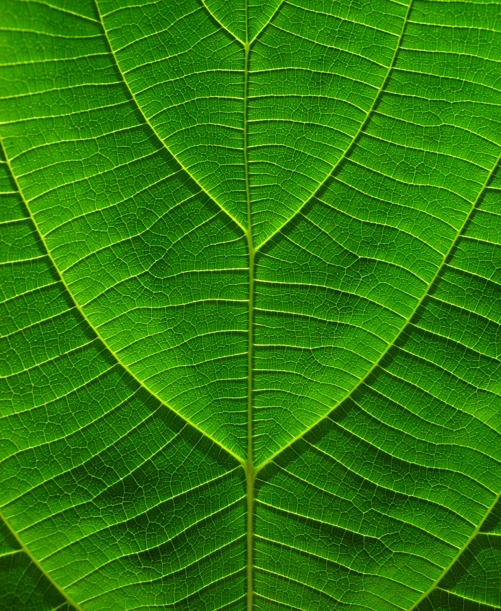 Abstract image of diagonal and vertical lines.