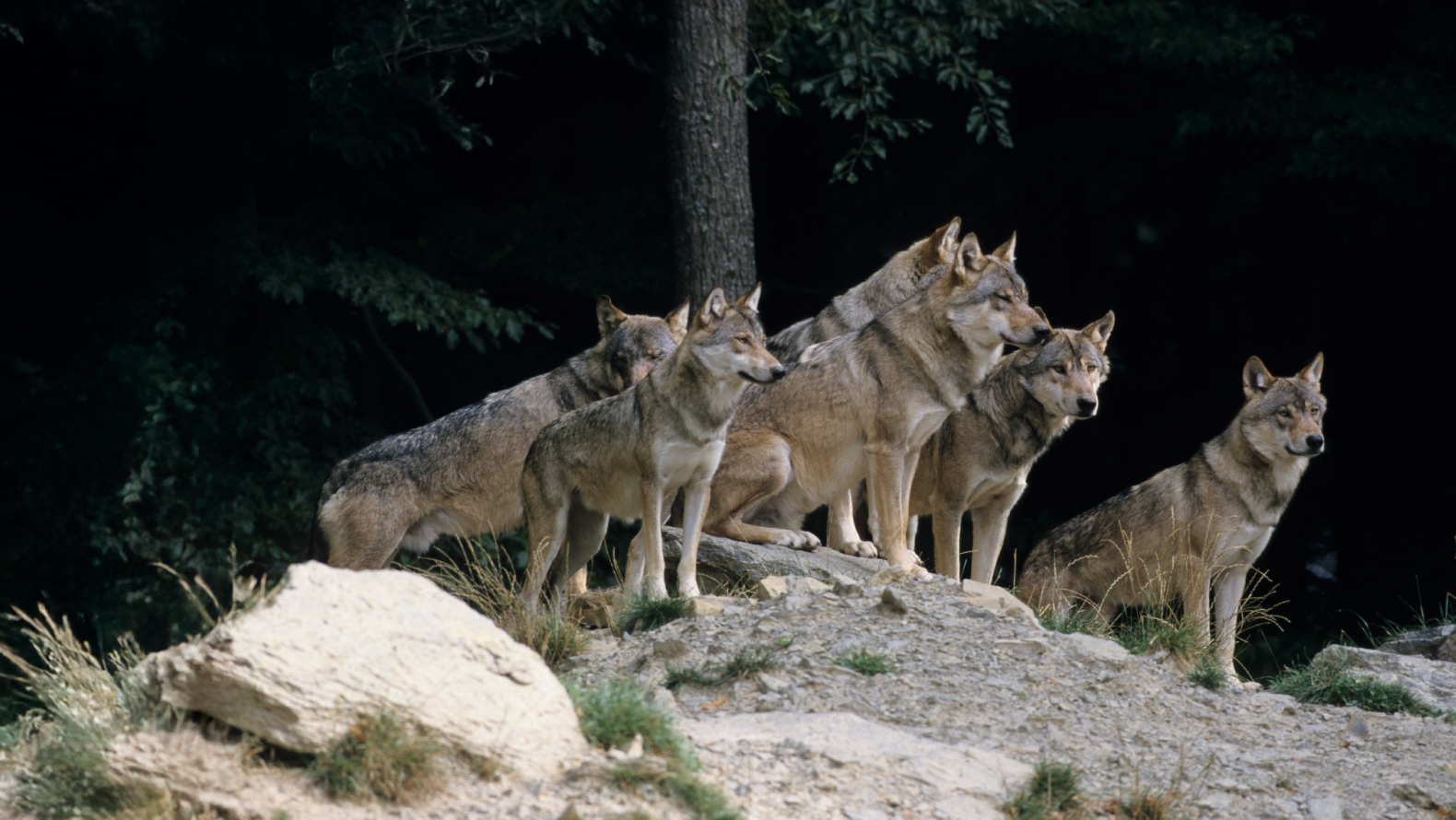 Photography of an open laptop and the arms of a person writing with the keyboard.