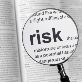 Risk Identification