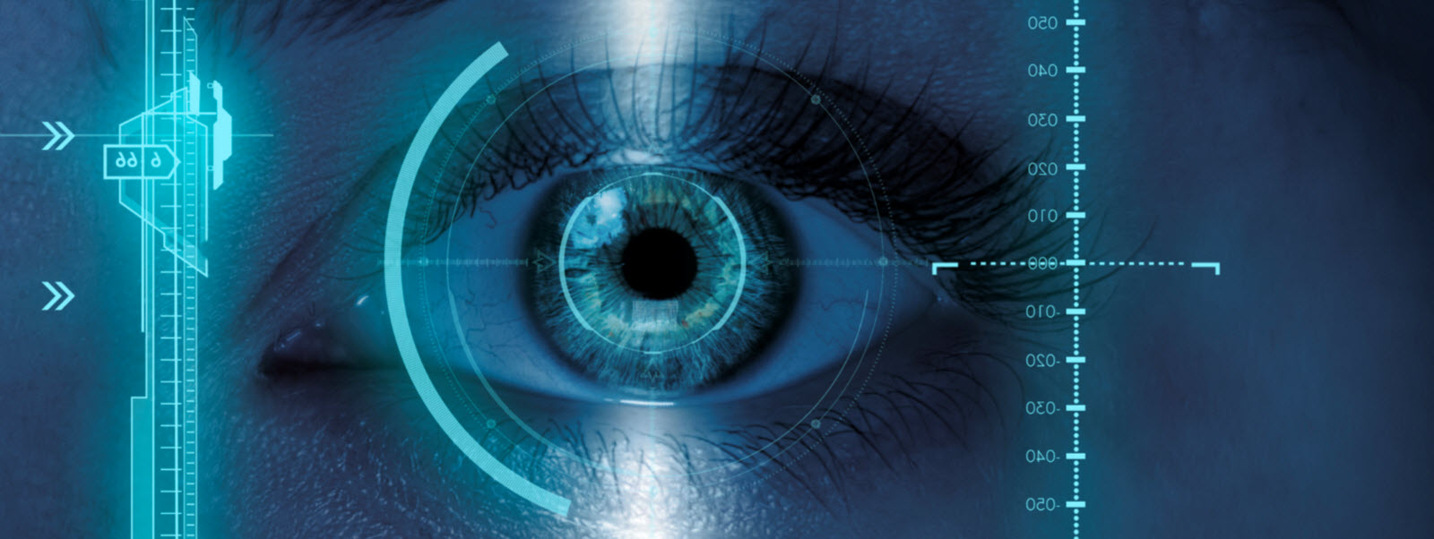 Embedding Cyber Defenses Where They Matter