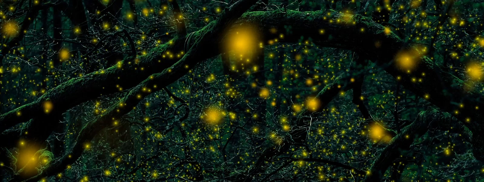 Energy Journal Volume 4