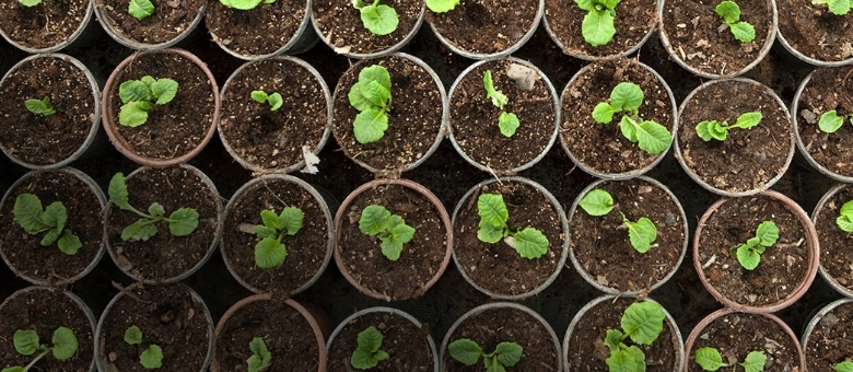 How African Sustainable Finance Operating Models Evolve