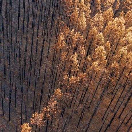 Climate Change Will Restructure the Economy. Here’s How Banks Can Prepare.