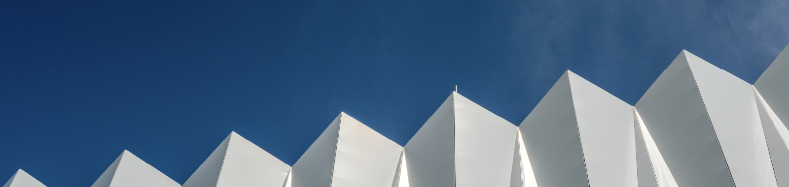 Asset Management Trends 2022