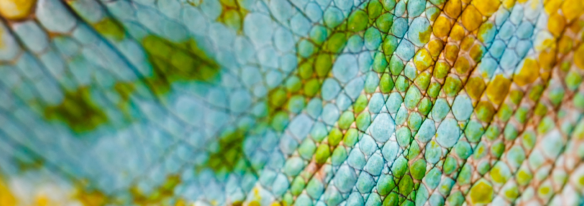 Helping Clients Face Economic Stress