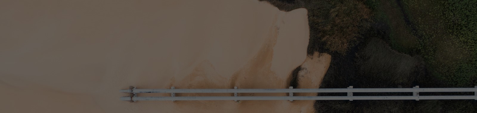 Africa's Pivotal Role In Shaping Global Financial Resilience