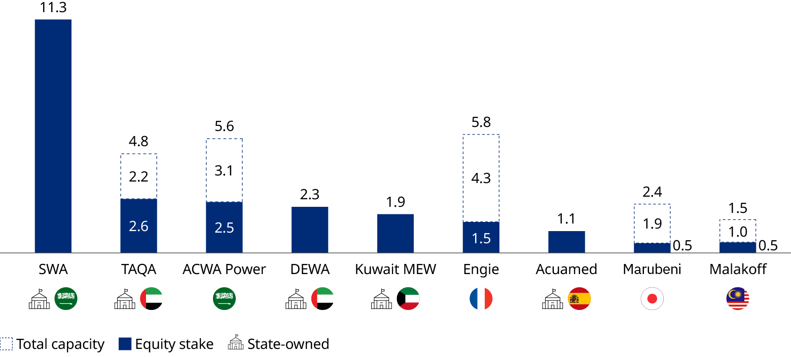 Bar chart comparing water developers’ total capacity vs equity stake, with flags and icons for ownership.