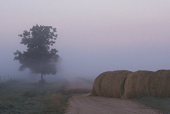 Finding A Needle In A Haystack