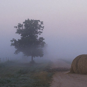 Finding A Needle In A Haystack