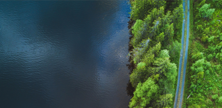 Towards a Global Baseline for Net-Zero Transition Planning