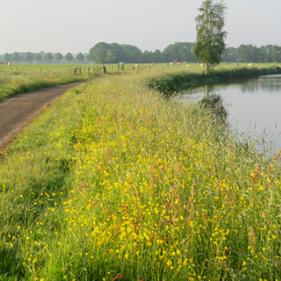 Developing The Business Case For An Archipelago In The Netherlands