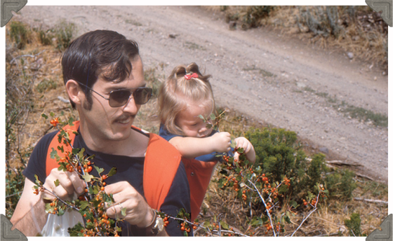 a picture of a father and daughter picking fruits