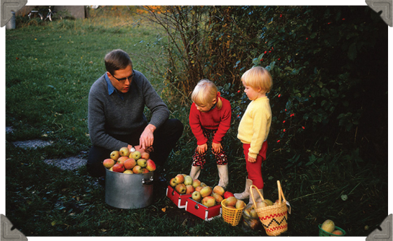 a picture of a father and two children looking at the apples they picked