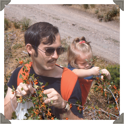 a picture of a father and daughter picking fruits