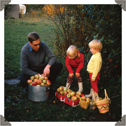 a picture of a father and two children looking at the apples they picked