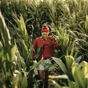 Woman walking through farm field